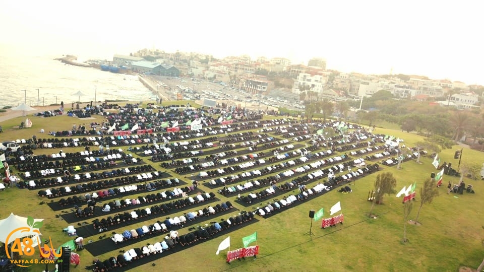 WhatsApp Image 2023-06-28 at 11.33.45 AM.jpeg